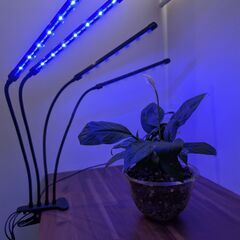 LED植物育成ライト 4本アーム / 植物用グローライトの画像