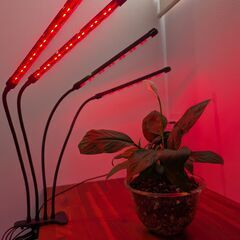 LED植物育成ライト 4本アーム / 植物用グローライトの画像