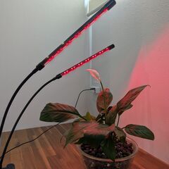 LED植物育成ライト 2本アーム / 植物用グローライトの画像