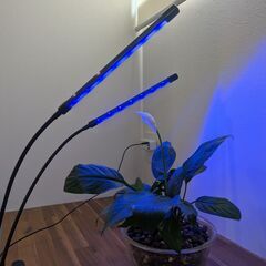 LED植物育成ライト 2本アーム / 植物用グローライトの画像