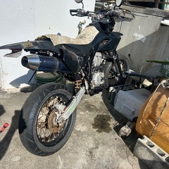 Dトラッカーの画像
