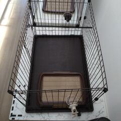 犬用ゲージの画像