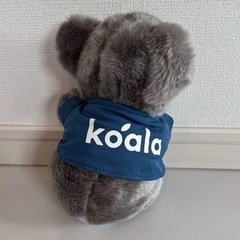 愛され顔のコアラくんの画像