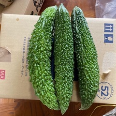 【取りに来て下さる方優先】ゴーヤ、チンゲン菜の画像