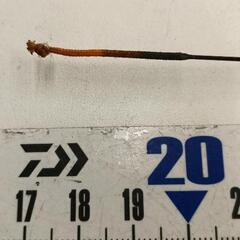 0726-263 振り出し竿　万能S 流45　仕舞1.05m 5本継の画像