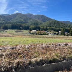 作業補助スタッフ！前借り対応可能！の画像