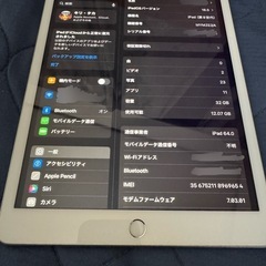 iPad 第８世代セルラーモデル(SIMフリー)
の画像