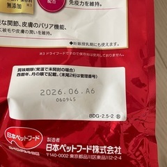 子犬用ドッグフードの画像