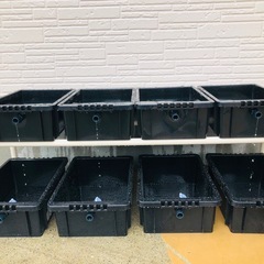 メダカ飼育ラック　コンパクト　【接着剤付き】 NVBOX13を4個置けますの画像