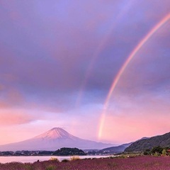 親子で占い❤️