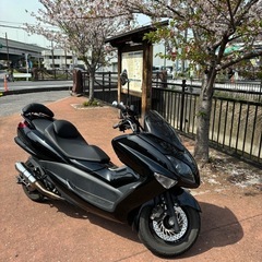 《比較的美品》マジェスティ250 【SG20J】の画像