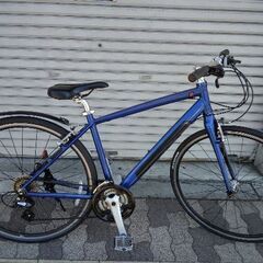 c-957付下げ小鳥に草花文様単衣刺繍一ツ紋重ね衿居敷当て付き☆