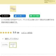 電位治療器　美品　定価44800円の画像
