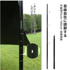 新品　ポール　2本(ケース付き)の画像