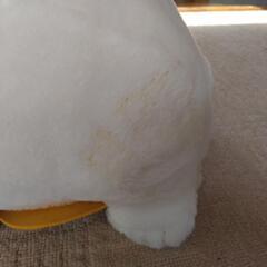 福招き猫のニャン吉ぬいぐるみの画像