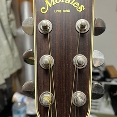 お引き渡し完了‼️　アコースティックギター　モラレス　Morales M25 状態良の画像