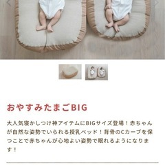 最終価格　おやすみたまご BIG Cカーブ授乳ベッド 赤ちゃん お昼寝クッション ベッド サポート クッション 洗える 寝かしつけ ねんね 便利グッズ 授乳 用品 6か月以上 の画像