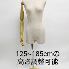 トルソー 　ボディー ディスプレーの画像
