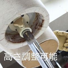 トルソー 　ボディー ディスプレーの画像
