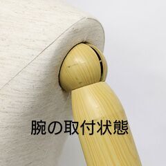 トルソー 　ボディー ディスプレーの画像