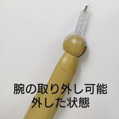 トルソー 　ボディー ディスプレーの画像