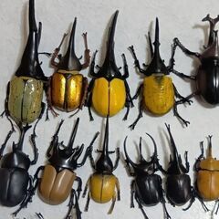 カブトムシ＆クワガタフィギィア28匹セットの画像