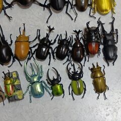 カブトムシ＆クワガタフィギィア28匹セットの画像