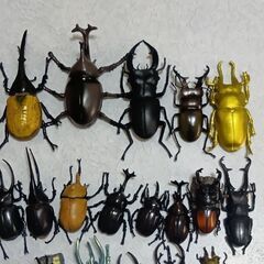 カブトムシ＆クワガタフィギィア28匹セットの画像