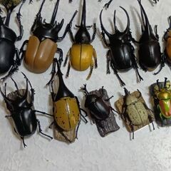 カブトムシ＆クワガタフィギィア28匹セットの画像