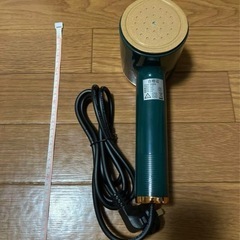 スチームアイロン　グリーン×ゴールドの画像