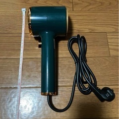 スチームアイロン　グリーン×ゴールドの画像