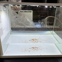 RAKU TERIOR 水槽セット ラクテリア GEX セット 海水 水槽の画像