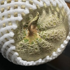 山梨県産　マルセイユメロンの画像