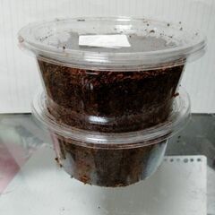 ヘラクレスオオカブト幼虫の画像