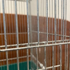 ホーエイ hoei 鳥カゴ ハートフルハウス 手のり 35 鳥かご とりかご 　の画像