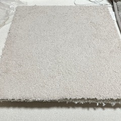 ニトリ40×40吸着タフトカーペットの画像