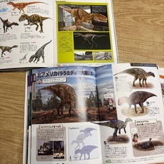 恐竜図鑑2冊セットの画像