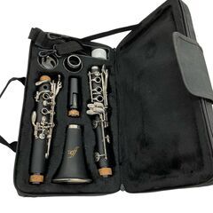 186000 現状品 zef ゼフ 管楽器 クラリネットB♭ 管ベーム式 ベークライト樹脂管体 ZCL-30 セミハードケース付 ZCL-30  [250125HM060125]の画像