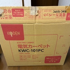 一畳用　電気カーペット　汚染ありの画像