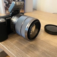 ミラーレス一眼レフSONY nex5の画像