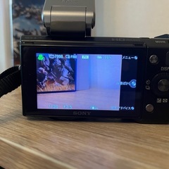 ミラーレス一眼レフSONY nex5の画像