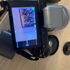 ミラーレス一眼レフSONY nex5の画像