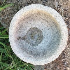 水鉢の画像