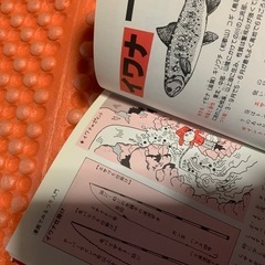 親子で楽しむ釣り入門の画像