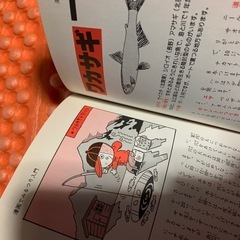 親子で楽しむ釣り入門の画像