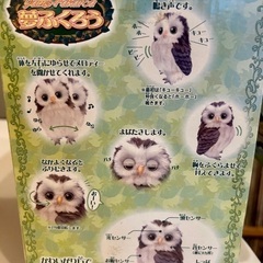 癒されるセガトイズ　夢ふくろうの画像