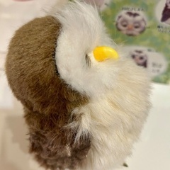 癒されるセガトイズ　夢ふくろうの画像