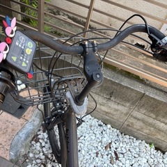 ビッケジャンク品の画像