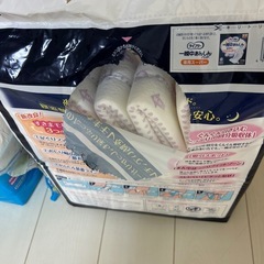 ［内定者様とお話中］数個使用　テープ式おむつ　尿とりパッドの画像
