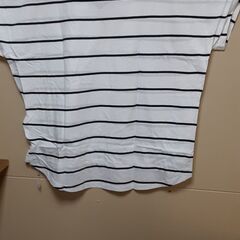 オーガニックＴシャツ　T-1２３の画像